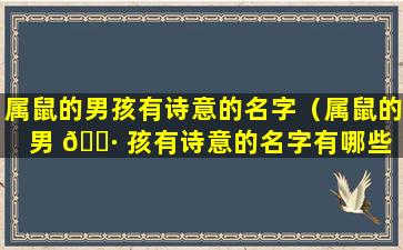 属鼠的男孩有诗意的名字（属鼠的男 🌷 孩有诗意的名字有哪些 🌺 ）